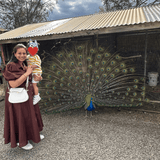 Sophie wide strap crossbody bag